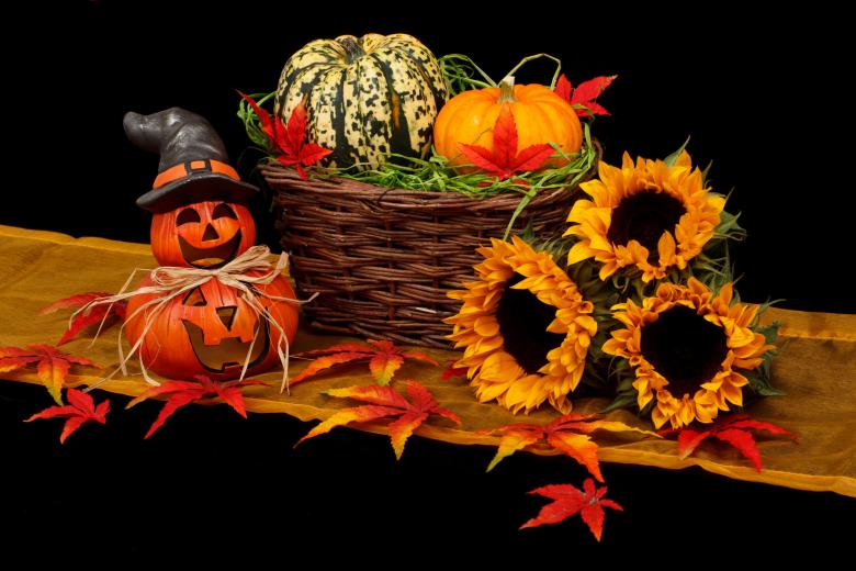 Free stock image of Pumpkins and Sunflowers for Halloween created by Pixabay
