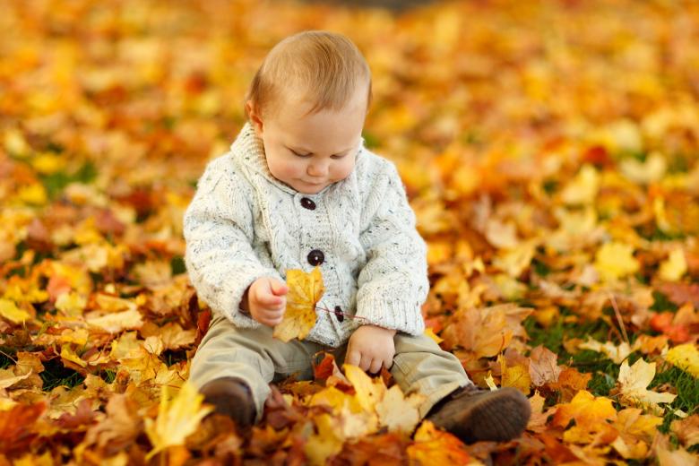 Free stock image of Child In Autumn created by Pixabay