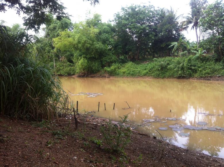 Free stock image of Nature in Beng Lake created by Sen Bavel