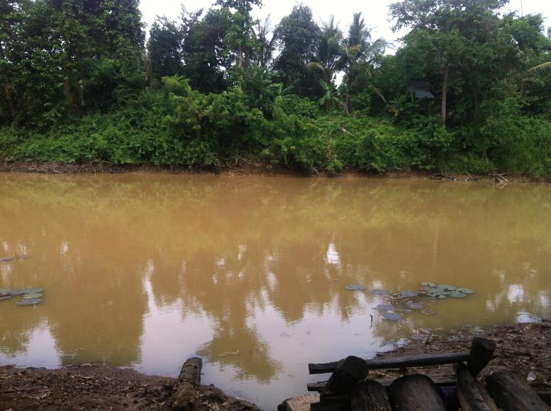 Free stock image of Nature in Beng Lake created by Sen Bavel