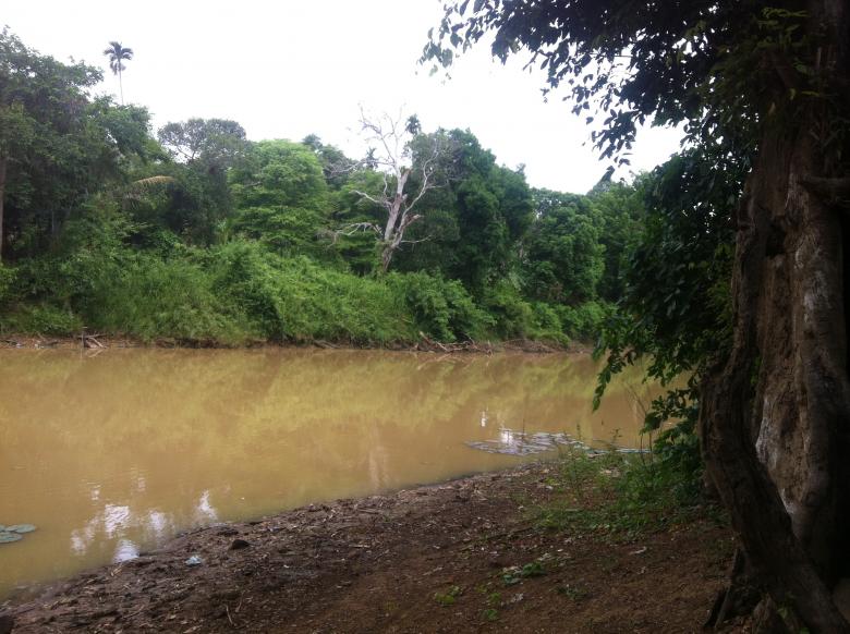Free stock image of Nature in Beng Lake created by Sen Bavel
