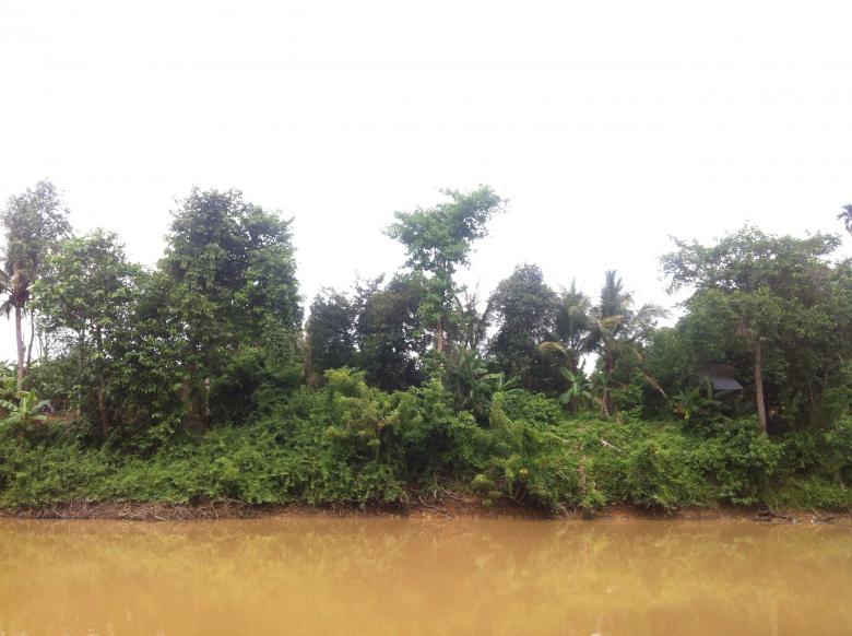 Free stock image of Nature in Beng Lake created by Sen Bavel