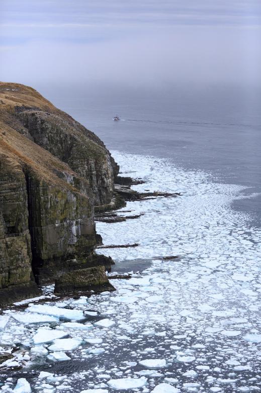 Free stock image of Cape St. Marys Ocean Ice created by Geoffrey Whiteway