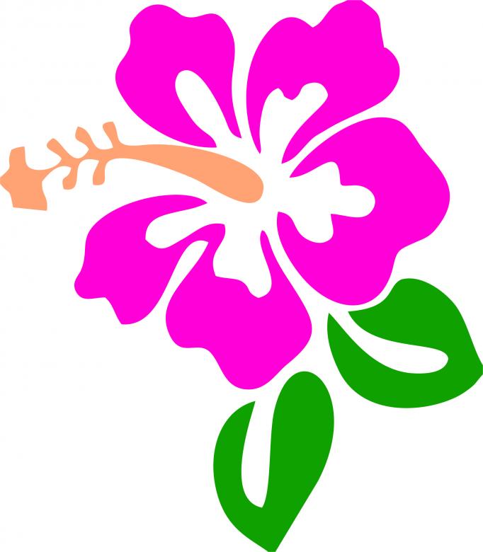 Free stock image of Flower Vector Illustration created by Anong Lov