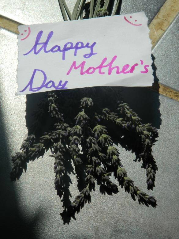 Free stock image of Happy Mothers Day created by Hulya Yılmaz