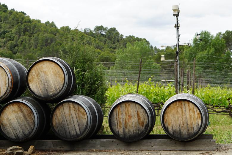 Free stock image of Outdoor Wine Barrels created by Brian