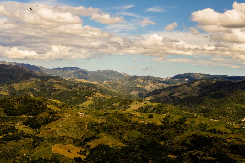 Free stock image of Spanish Wine Country created by Brian