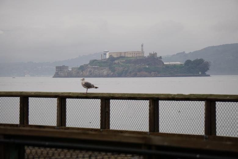 Free stock image of Alcatraz created by Brian