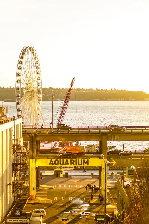 Free stock image of Aquarium Seattle created by Brian