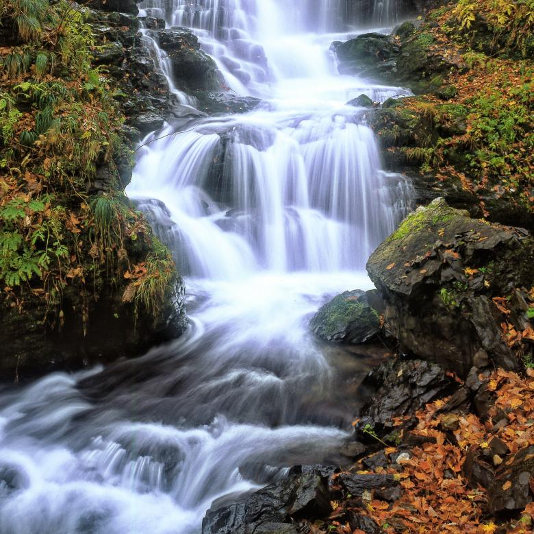 Free stock image of A Small Waterfall created by Pixabay