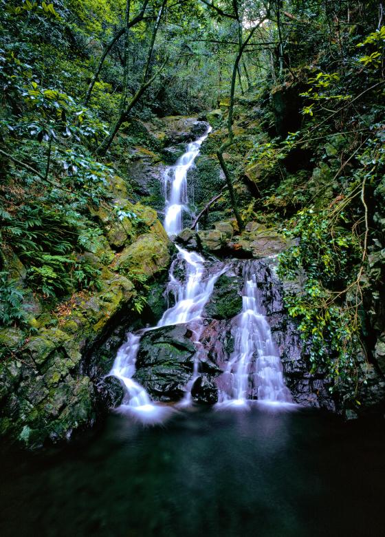 Free stock image of A Small Waterfall created by Pixabay