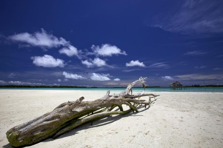 Free stock image of On the Beach created by Pixabay