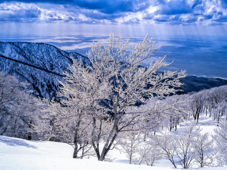 Free stock image of In Winter created by Pixabay