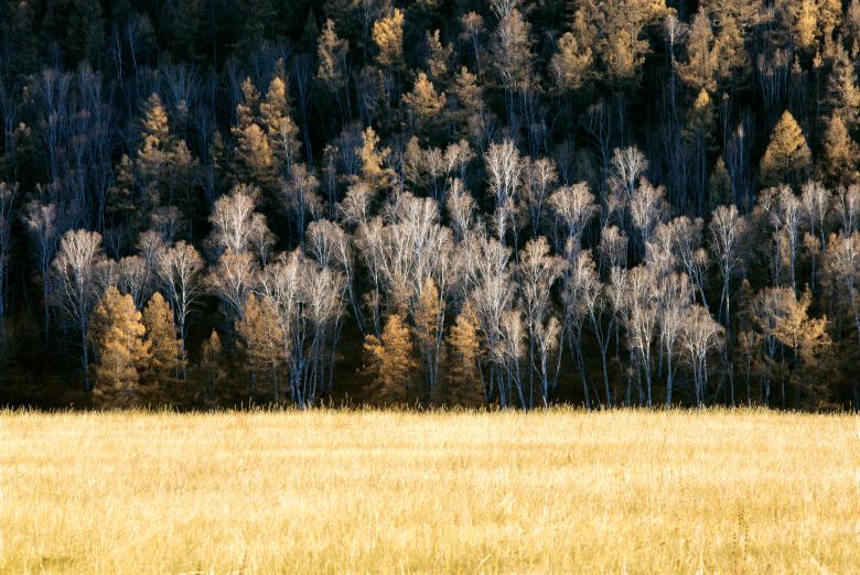 Free stock image of Late Autumn created by Pixabay