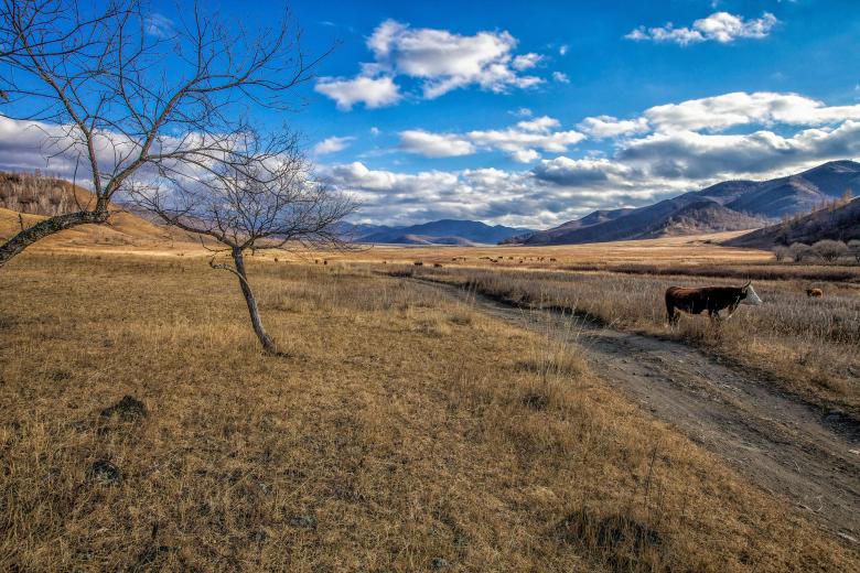 Free stock image of Late Autumn created by Pixabay