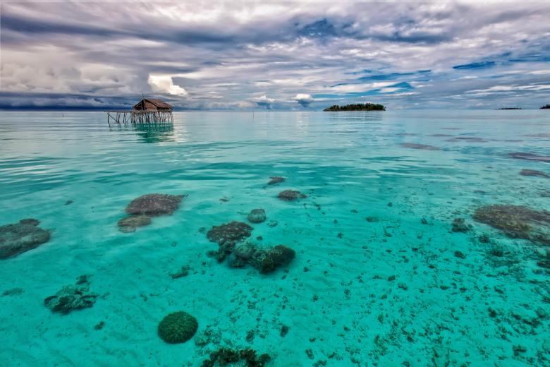 Free stock image of The Shallow Sea created by Pixabay