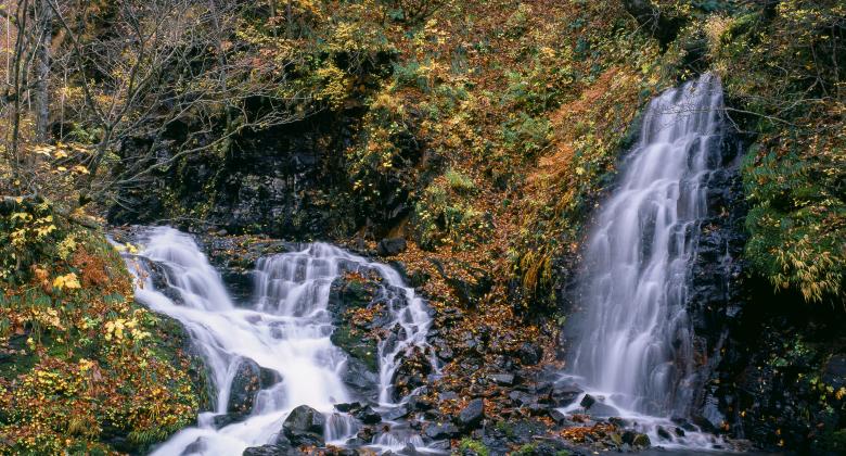Free stock image of Wild Waterfall created by Pixabay
