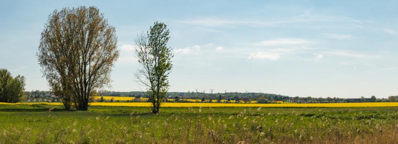 Free stock image of Beautiful Fields created by Pixabay