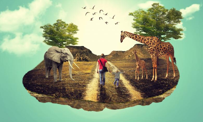Free stock image of Wild Park created by Pixabay