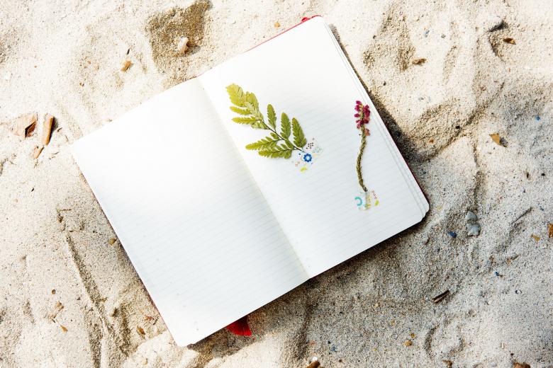 Free stock image of Copy on the Beach created by Pixabay