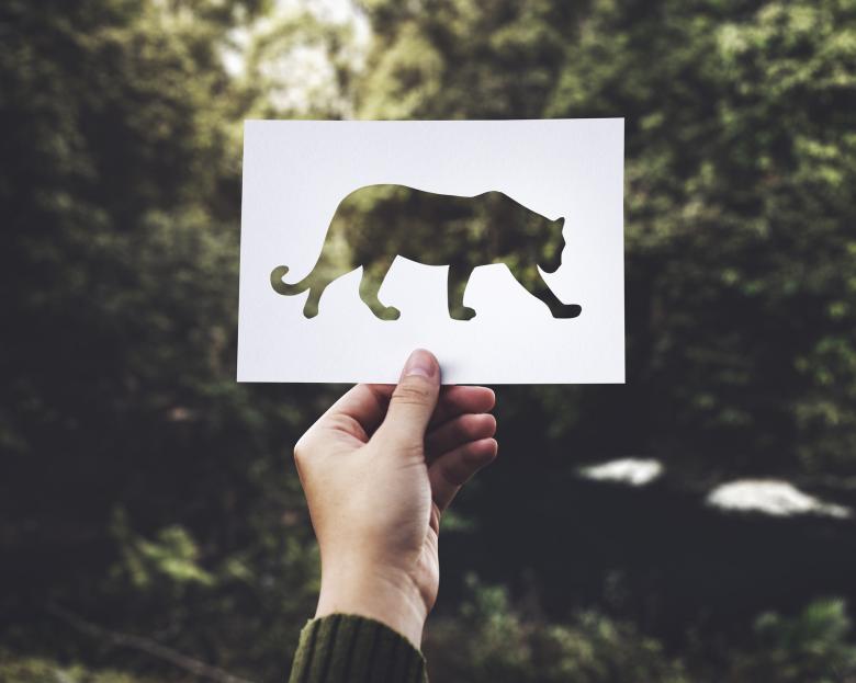 Free stock image of Paper Cat created by Pixabay