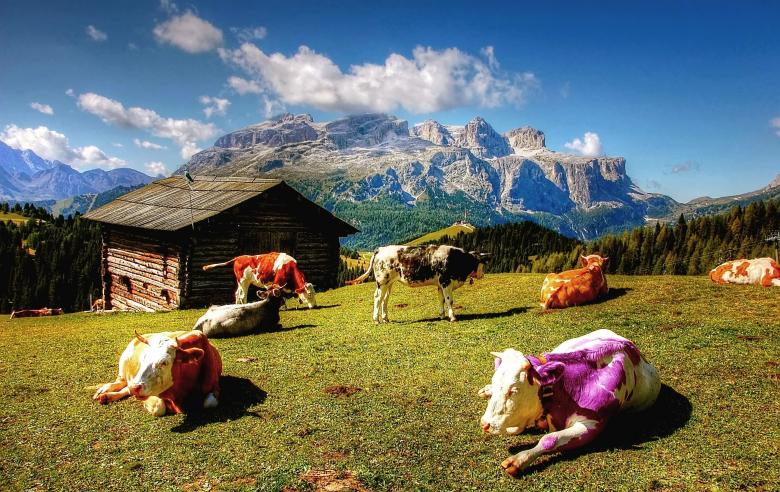 Free stock image of Cattle Farm created by Pixabay
