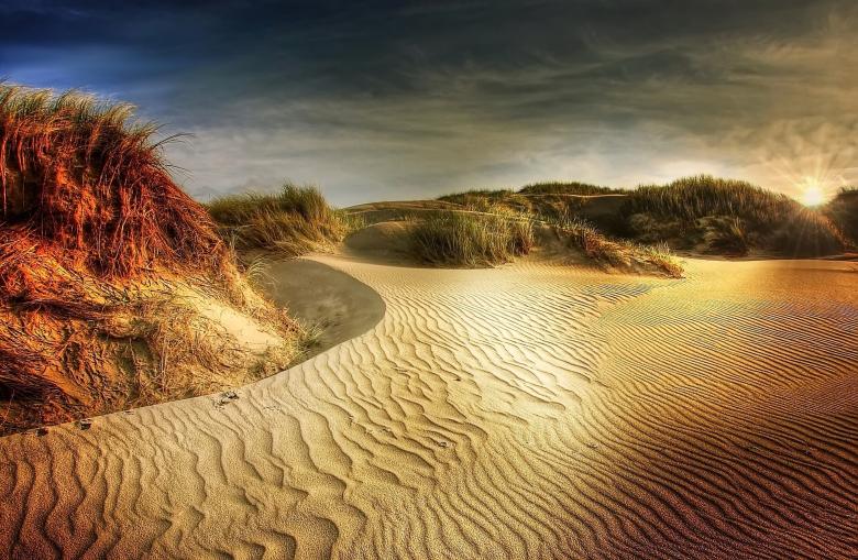 Free stock image of In the Desert created by Pixabay