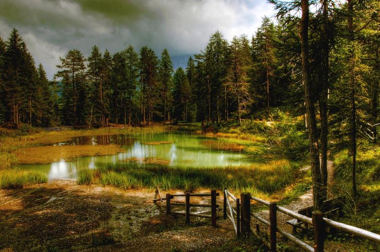 Free stock image of Wild Lake created by Pixabay