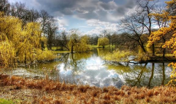 Free Stock Photo of In the Park