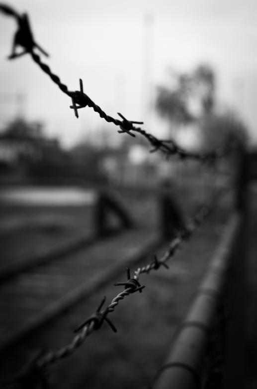 Free stock image of Barb Wire created by Pixabay
