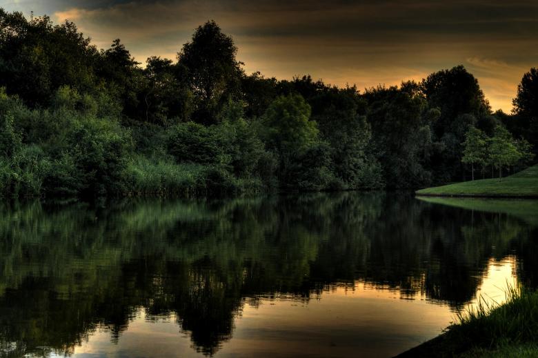 Free stock image of River and Forest created by Pixabay