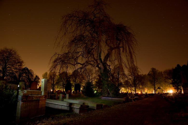 Free stock image of Graveyard in the City created by Pixabay