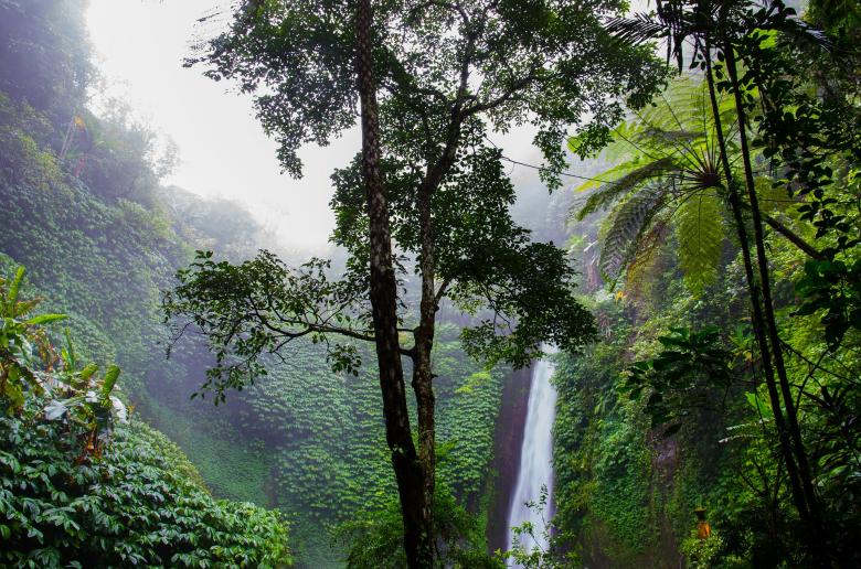 Free stock image of Beautiful Waterfall created by Pixabay