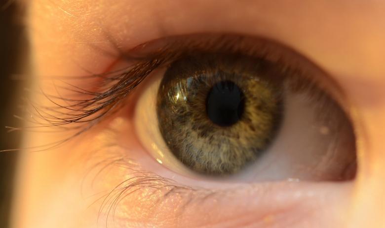 Free stock image of Eye Closeup created by Pixabay
