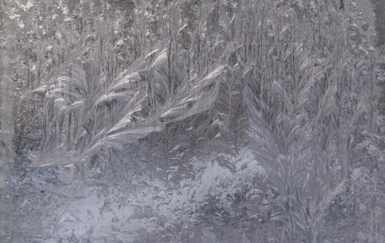 Free stock image of Deadly Frost created by Pixabay