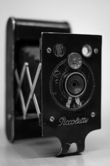 Black Piccolette - Free Stock Photo