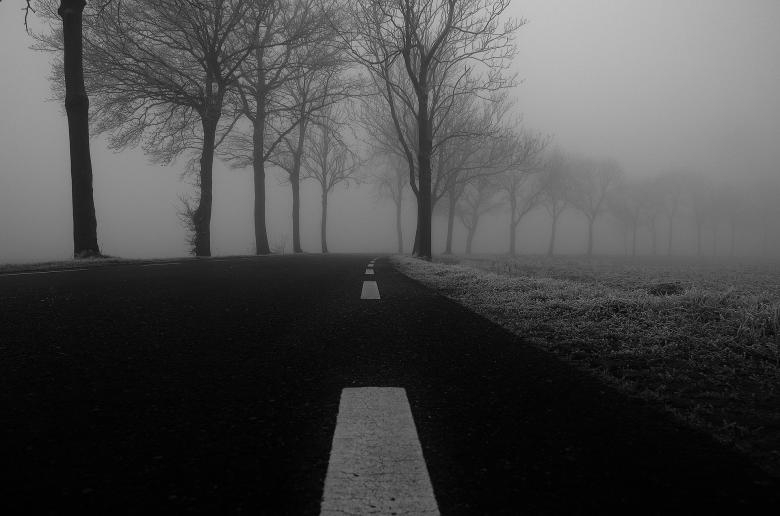 Free stock image of Winter Road created by Pixabay