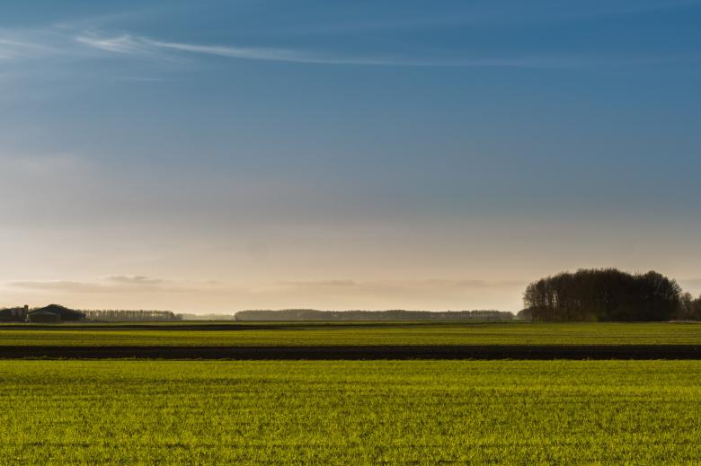 Free stock image of Fresh Meadow created by Pixabay