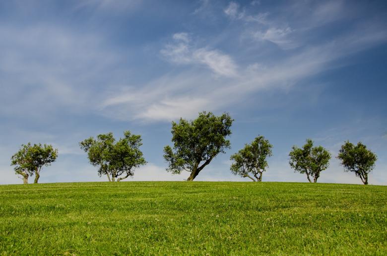 Free stock image of Agricultural Area created by Pixabay