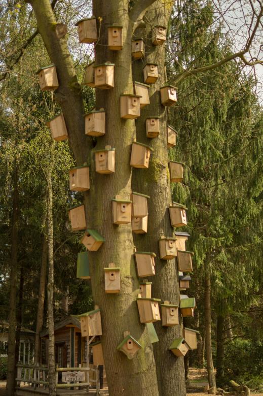 Free stock image of Bird Houses created by Pixabay
