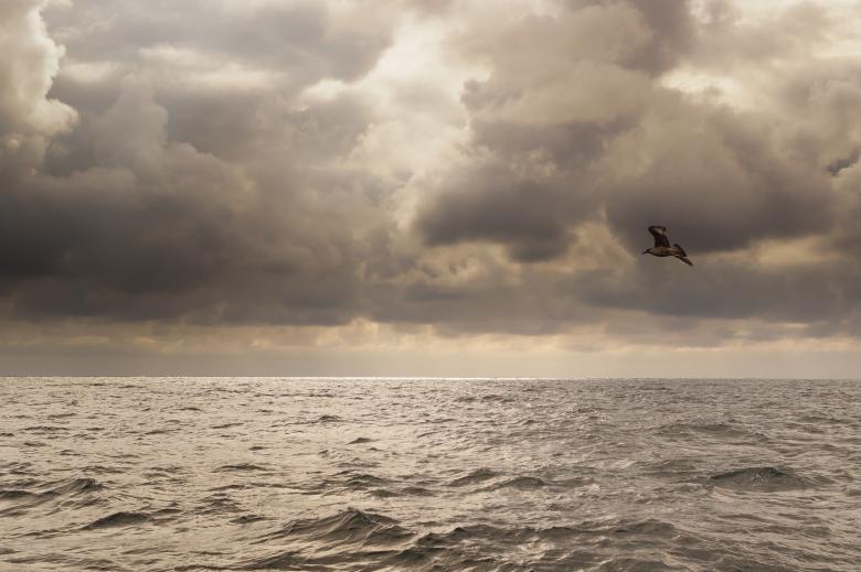 Free stock image of Stormy Weather created by Pixabay