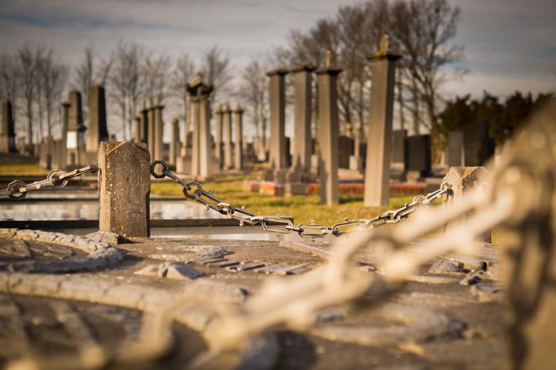 Free stock image of In the Cemetery  created by Pixabay