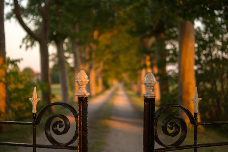 Free stock image of Metallic Fence created by Pixabay