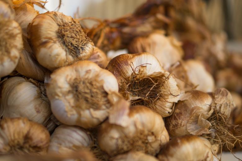 Free stock image of Bunch of Garlic created by Pixabay