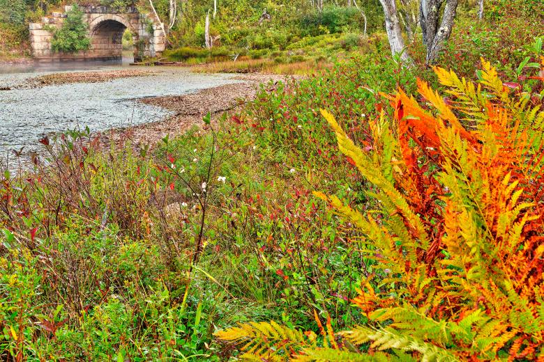 Free stock image of Rustic Pendleton Autumn - HDR created by Nicolas Raymond