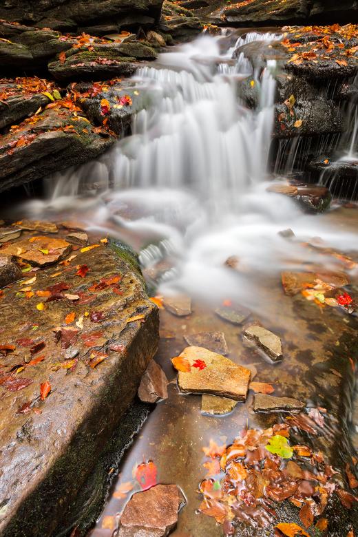 Free stock image of Lowzone Falls - HDR created by Nicolas Raymond