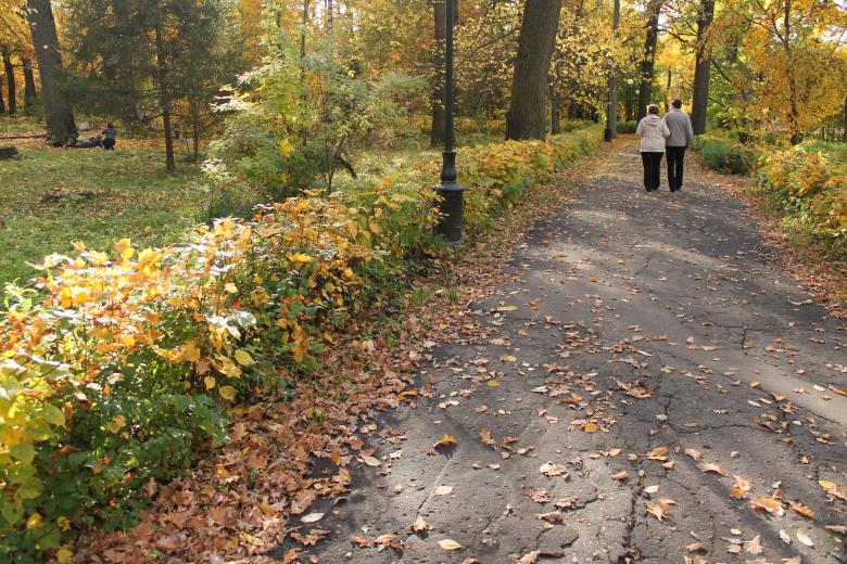Free stock image of Couple Walking in the Park created by  Талашманов Александр