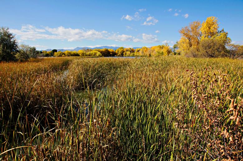 Free stock image of Crown Hill Lake Park Autumn View created by Michael Kirsh