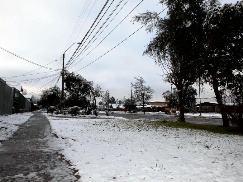 Free stock image of Snow in the Avenue created by cristian adolfo  pavez fuenzalida