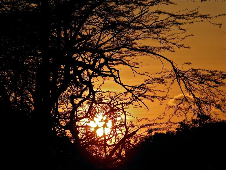 Free stock image of Sunset Behind the Trees created by Roberto Fernandez Rizo